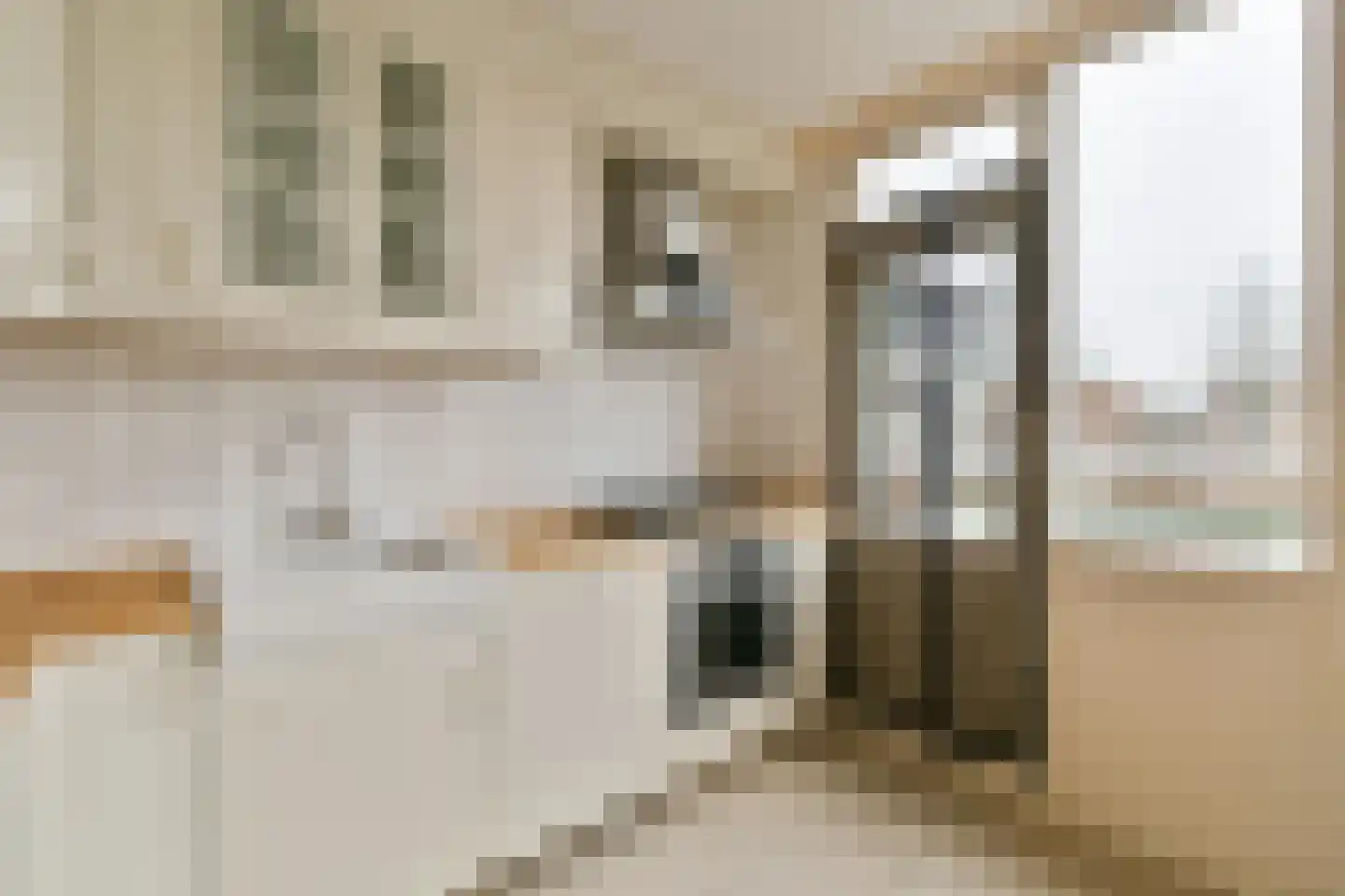 Strand 18 Lelystad thumbnail 16