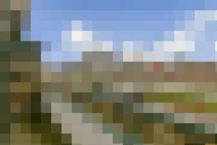 Strand 18 Lelystad thumbnail 17