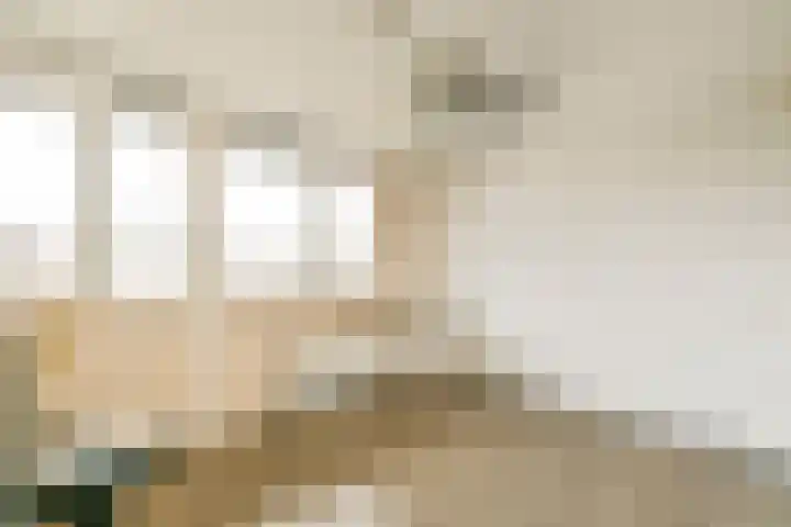 Strand 18 Lelystad thumbnail 19