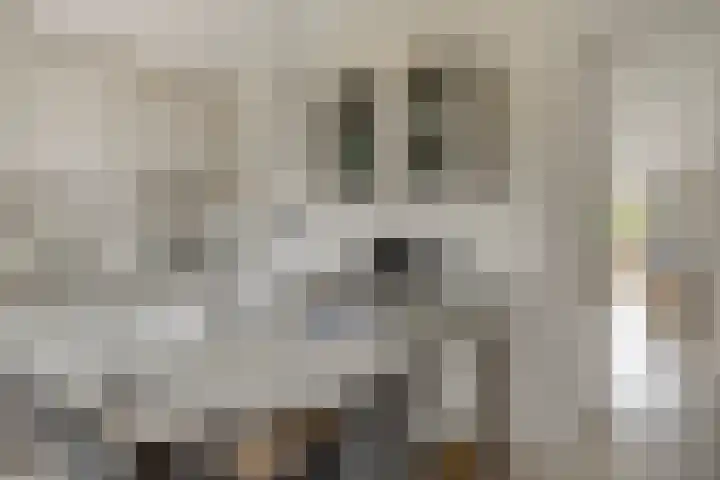 Strand 3 Zoutelande thumbnail 4