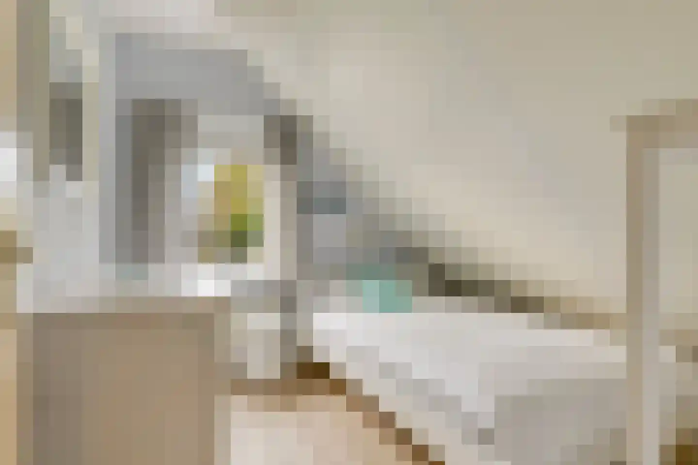 Strand 32 Scharendijke thumbnail 28
