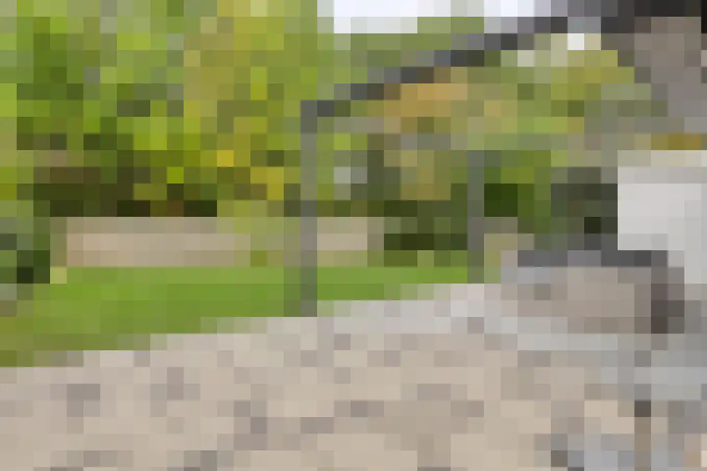 Strand 32 Scharendijke thumbnail 33