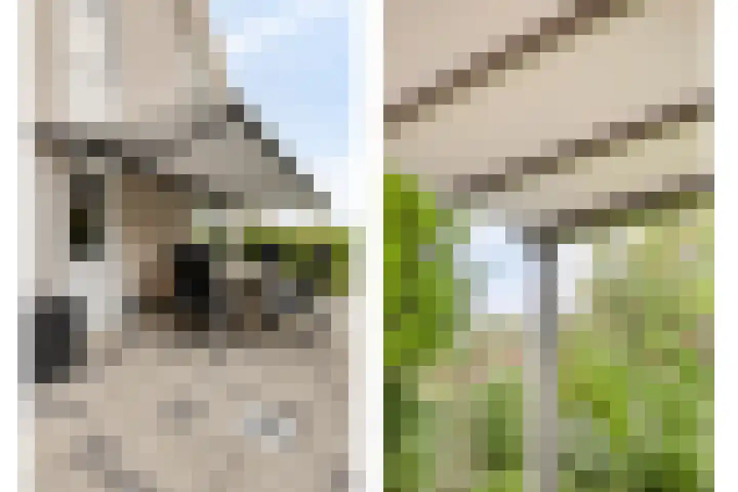 Strand 32 Scharendijke thumbnail 35