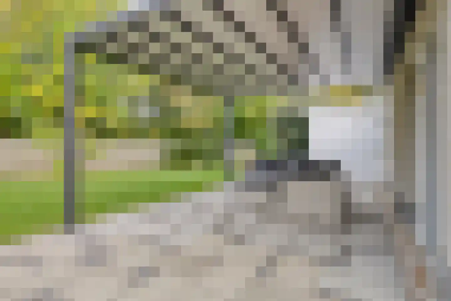 Strand 32 Scharendijke thumbnail 36