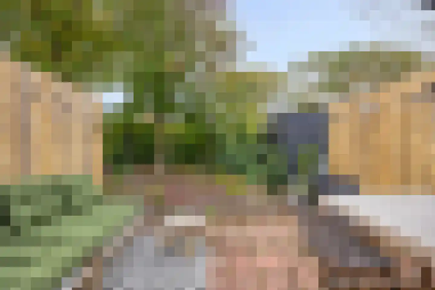 Strand 34 Zoutelande thumbnail 11