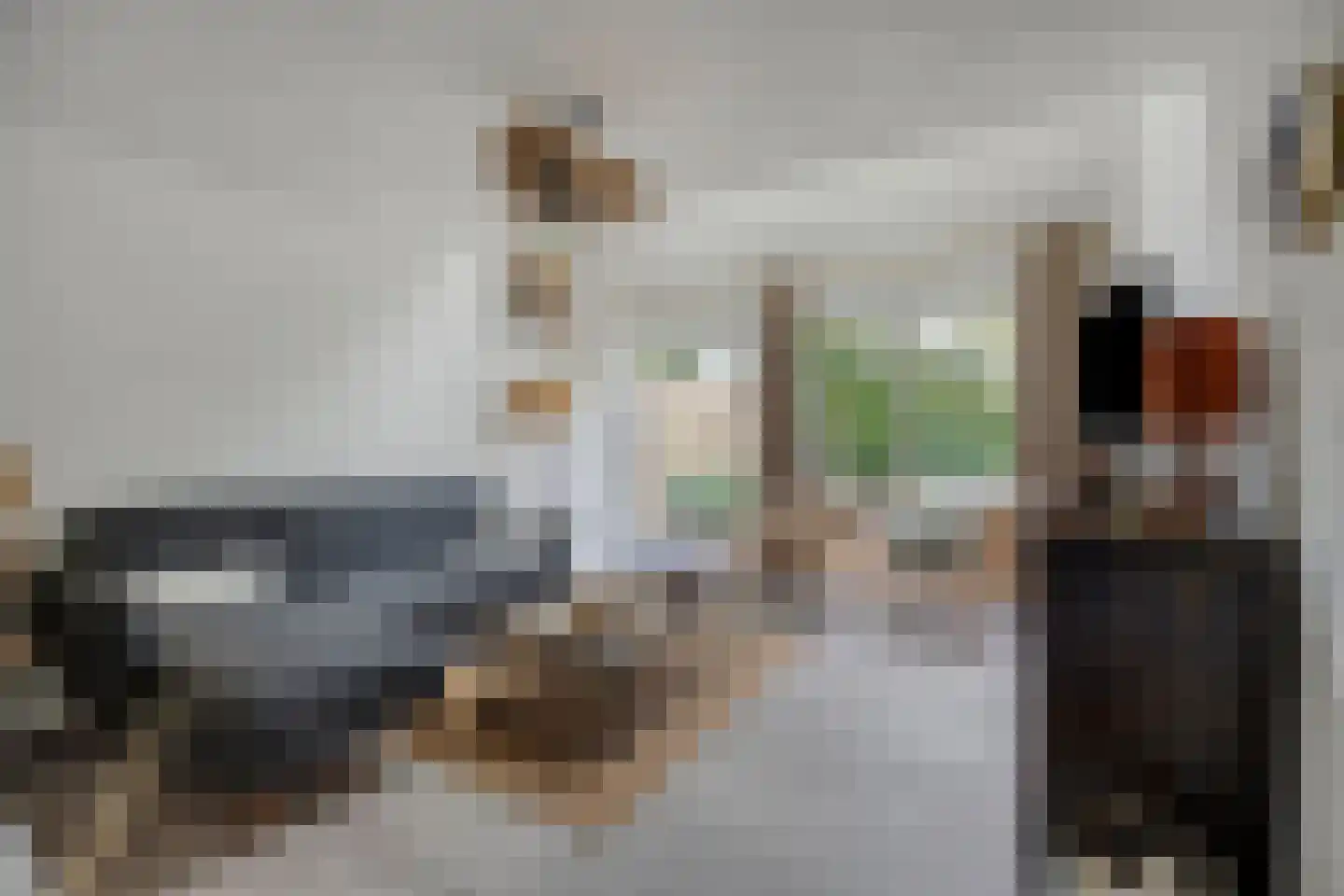 Strand 34 Zoutelande thumbnail 9