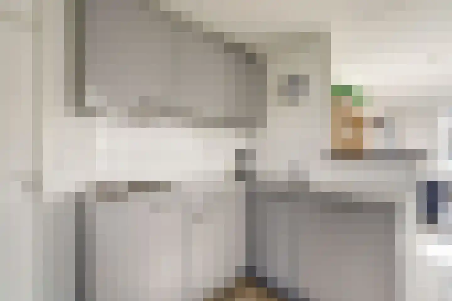 Strand 42 Scharendijke thumbnail 13