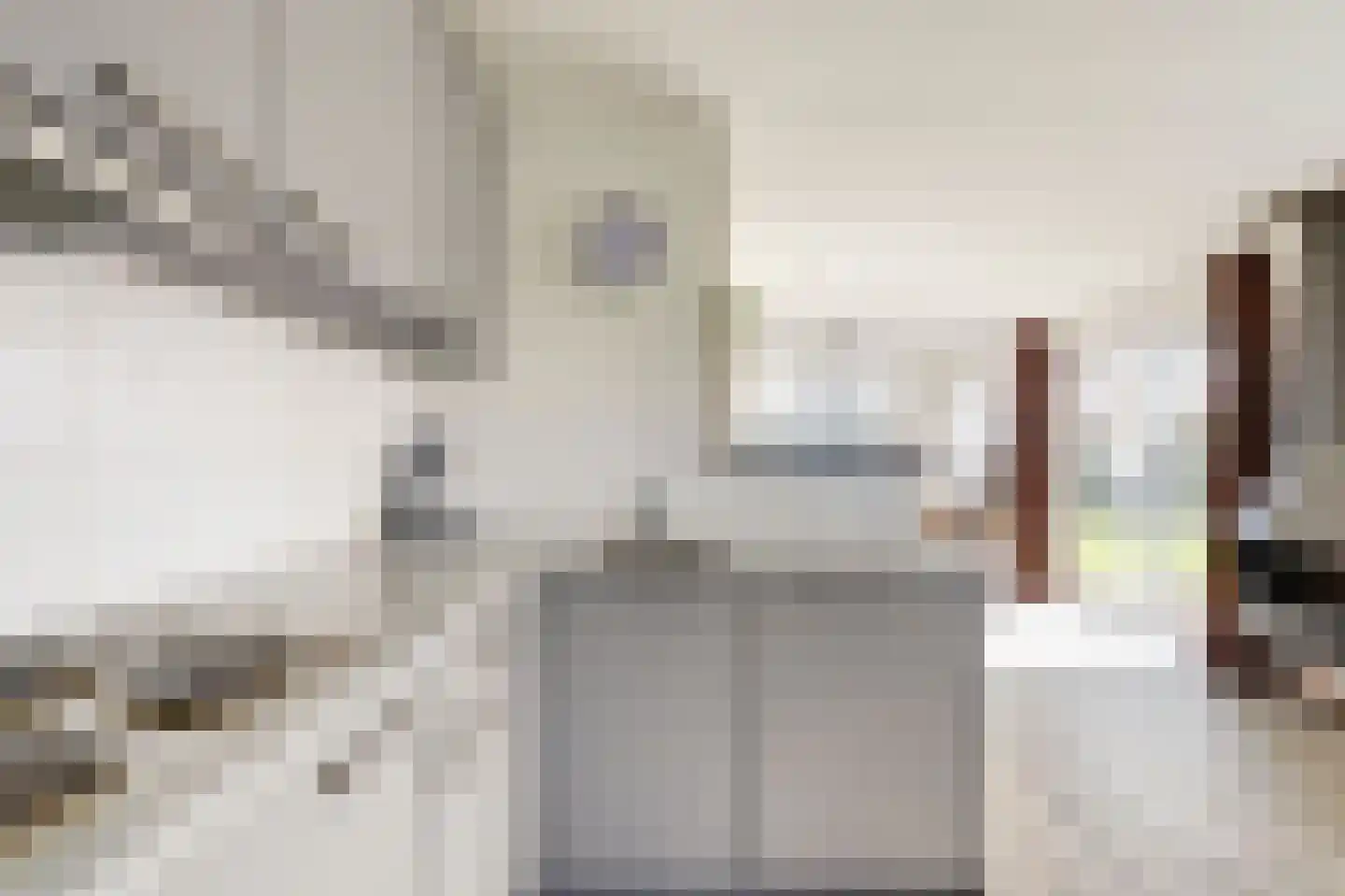 Strand 42 Scharendijke thumbnail 15