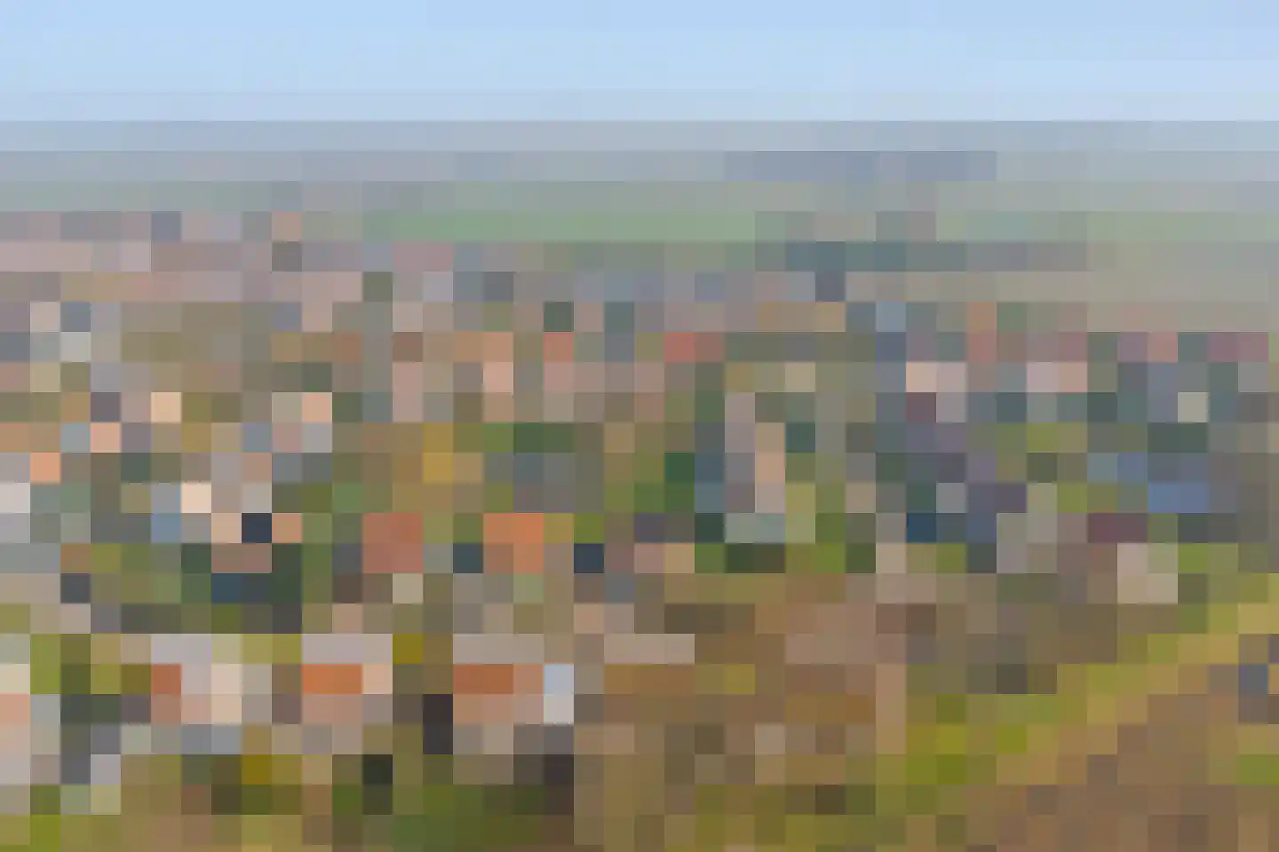 Strand 42 Scharendijke thumbnail 30
