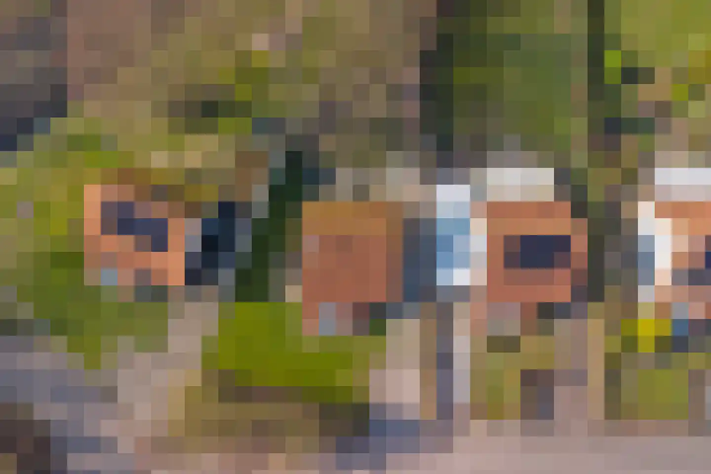 Strand 42 Scharendijke thumbnail 31