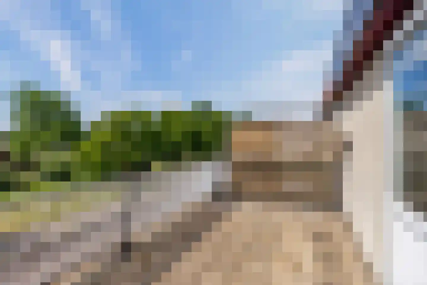 Strand 56 Lelystad thumbnail 28