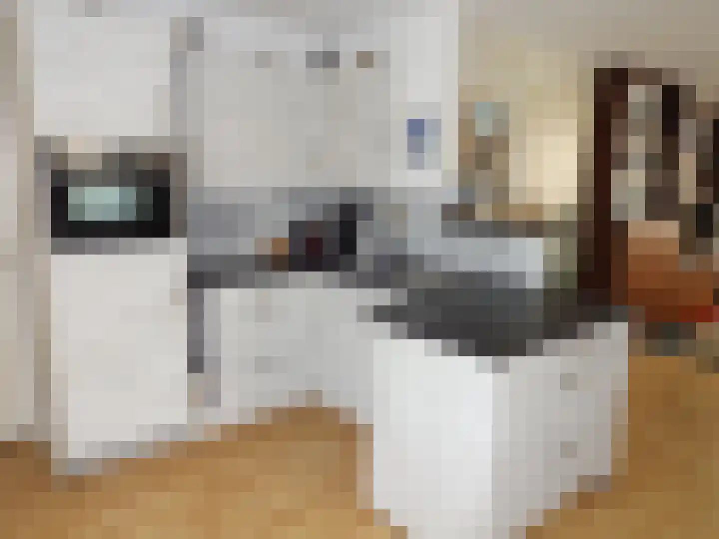 Strand 84 Scharendijke thumbnail 12