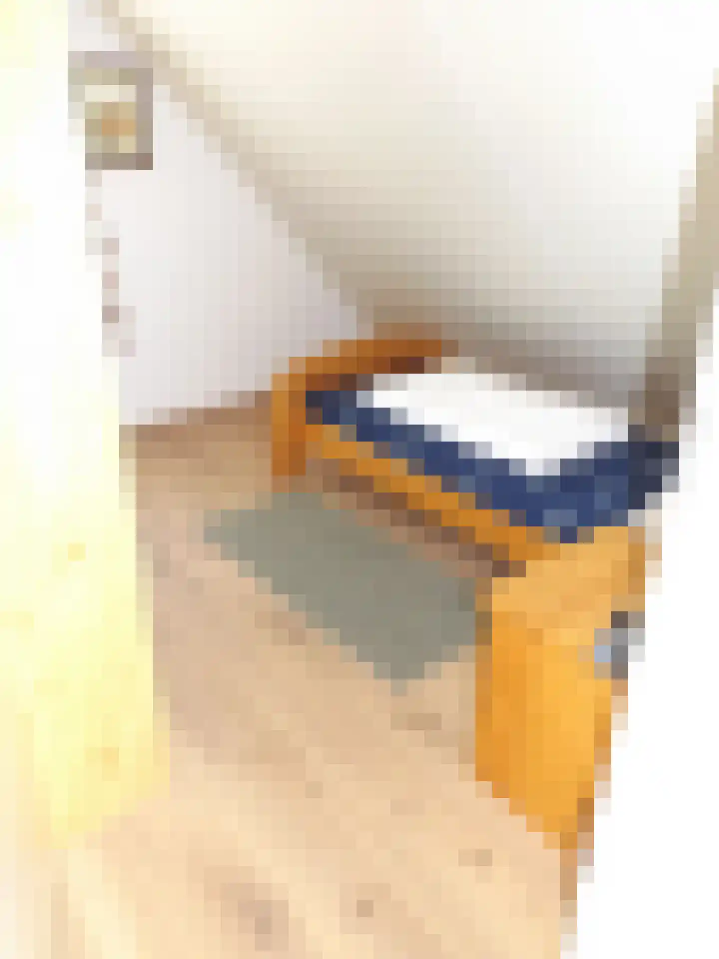 Strand 84 Scharendijke thumbnail 17