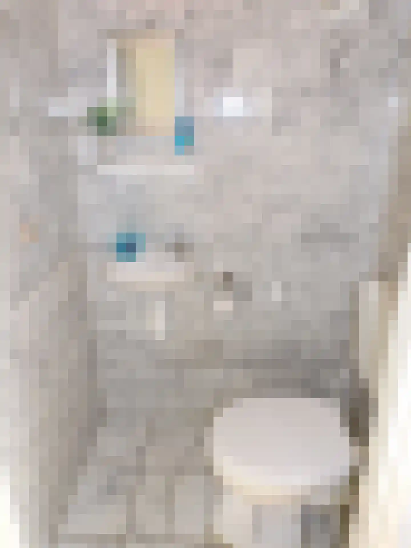 Strand 84 Scharendijke thumbnail 9