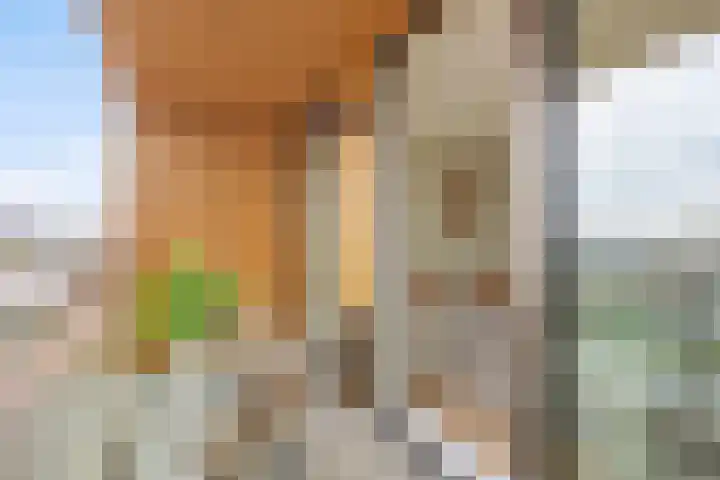 Strandeilandlaan 155 Amsterdam thumbnail 10