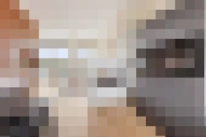 Strandeilandlaan 155 Amsterdam thumbnail 13