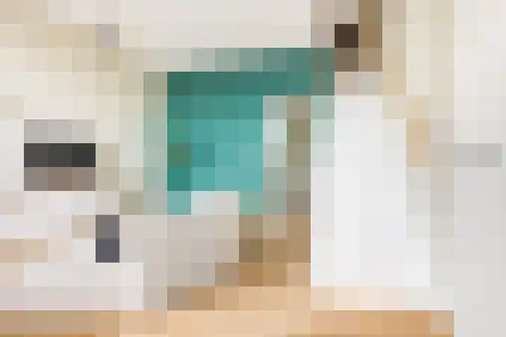 Strandeilandlaan 155 Amsterdam thumbnail 5
