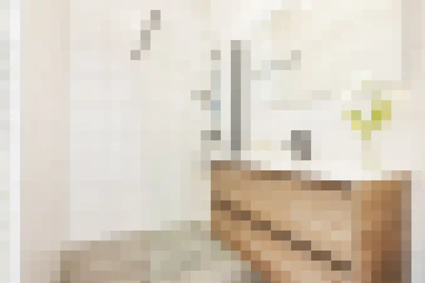 Strandeilandlaan 155 Amsterdam thumbnail 6