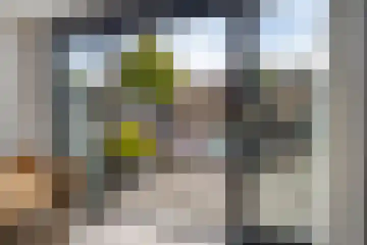 Strandfontein 15 Purmerend thumbnail 17