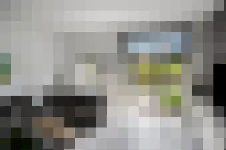 Strandfontein 15 Purmerend thumbnail 18