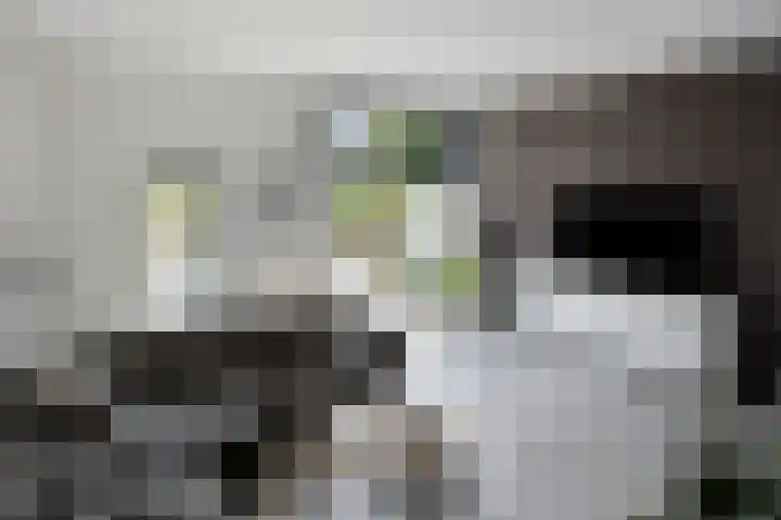Strandfontein 15 Purmerend thumbnail 22