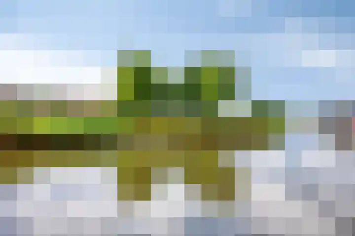 Strandfontein 15 Purmerend thumbnail 44