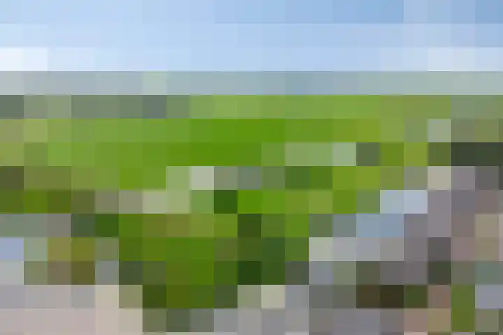 Strandfontein 15 Purmerend thumbnail 7