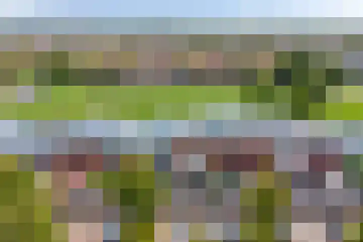 Strandfontein 15 Purmerend thumbnail 9