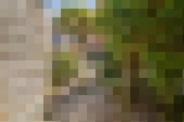 Strandfontein 46 Purmerend thumbnail 15