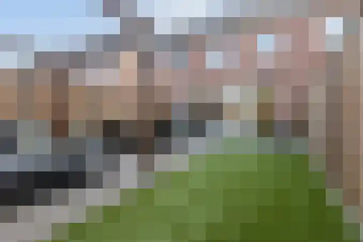 Strandgaper 104 Bergen op Zoom thumbnail 39