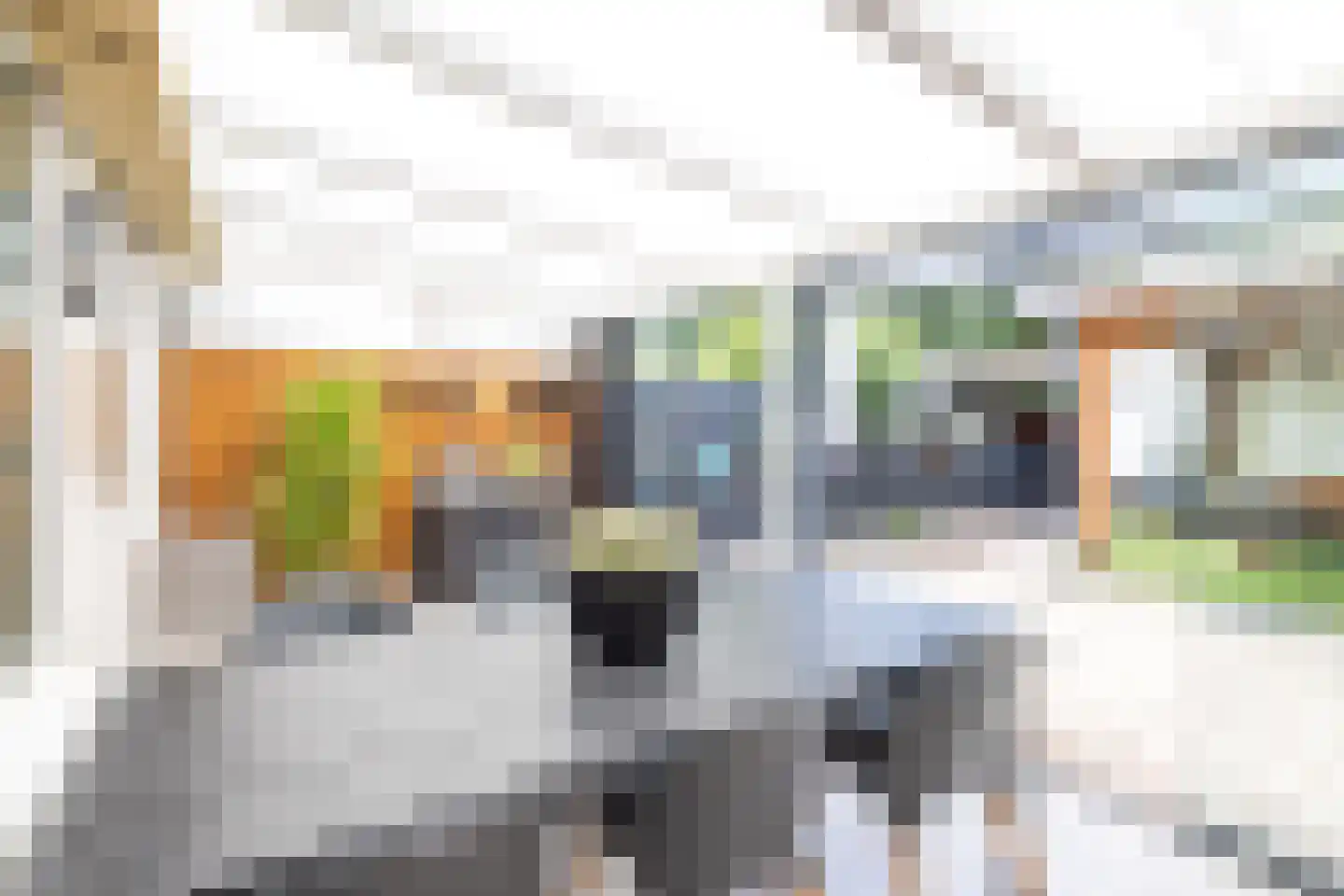 Strandgaper 12 Philippine thumbnail 27