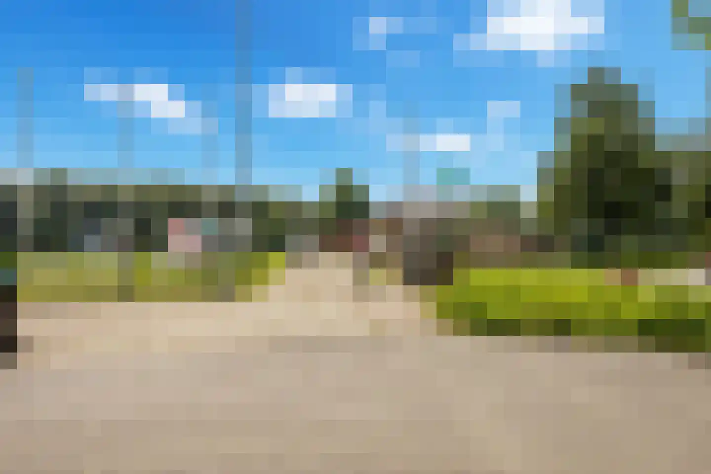 Strandgaper 12 Philippine thumbnail 34