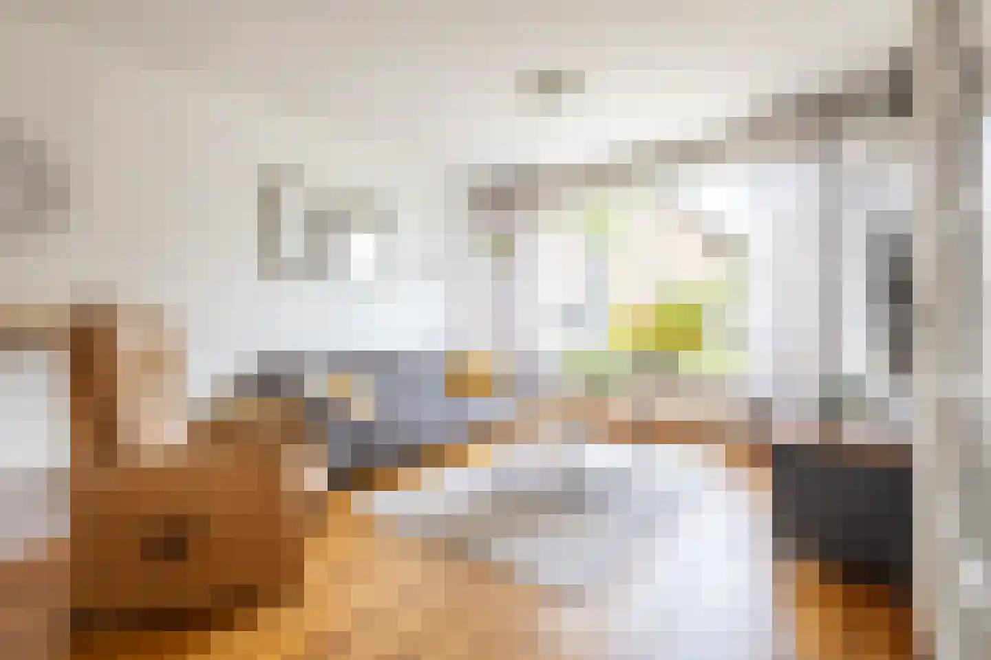 Strandgaper 12 Philippine thumbnail 7