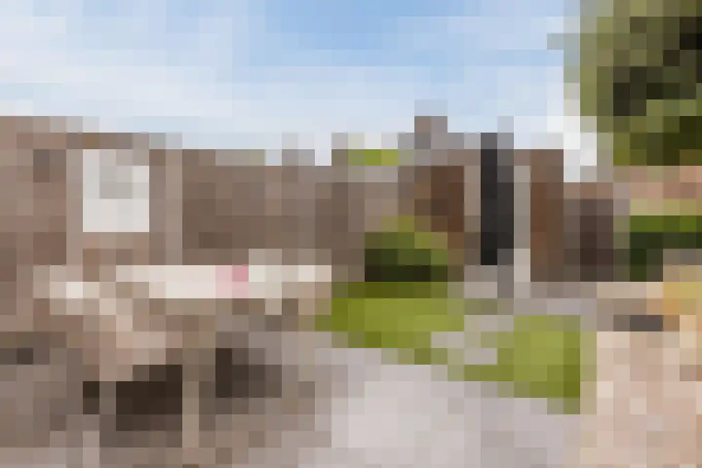 Strandgaper 122 Bergen op Zoom thumbnail 40