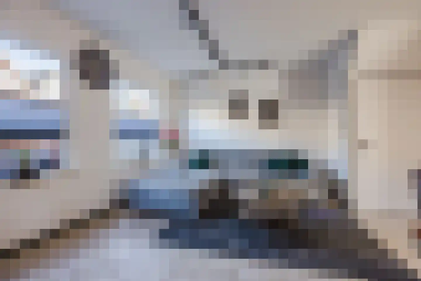 Strandgaper 13 Hellevoetsluis thumbnail 5