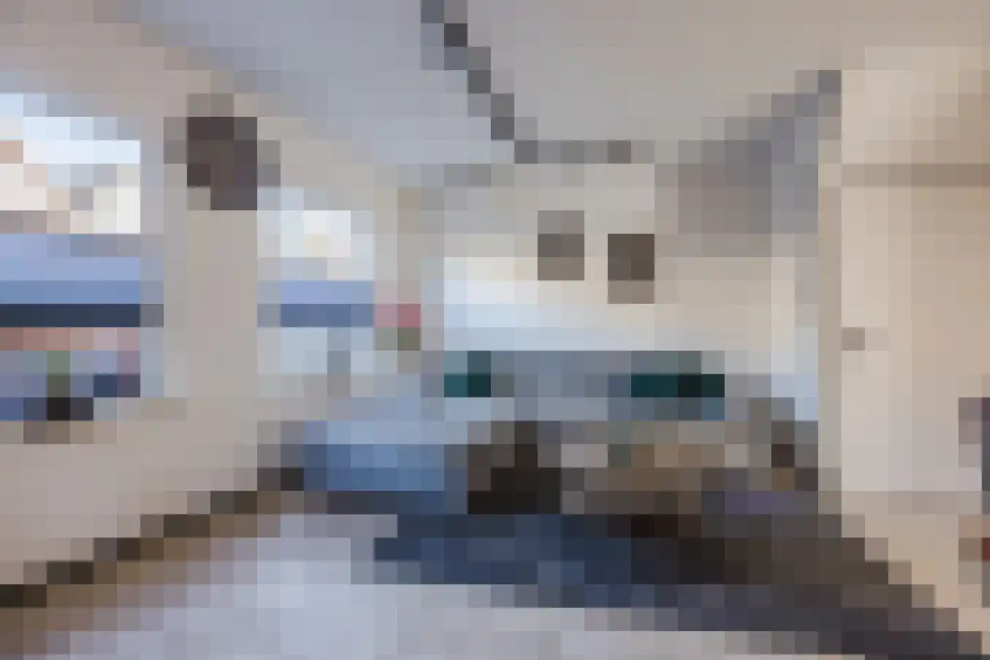Strandgaper 13 Hellevoetsluis thumbnail 5