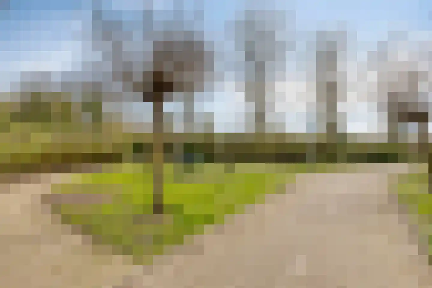 Strandgaper 26 Hellevoetsluis thumbnail 27