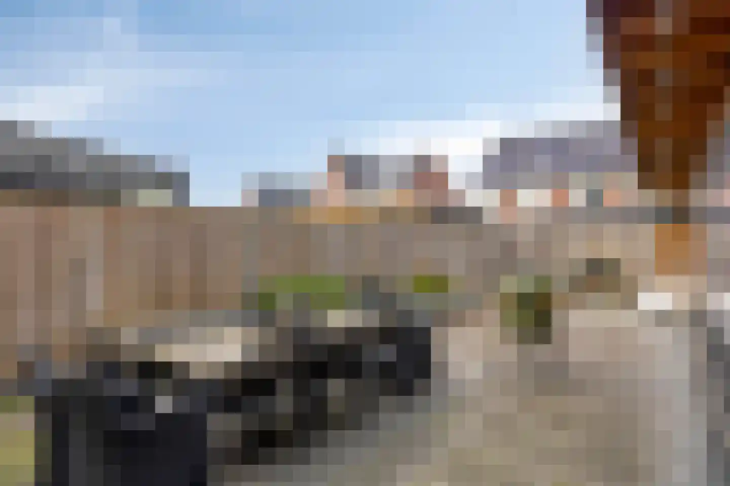 Strandgaper 84 Bergen op Zoom thumbnail 28