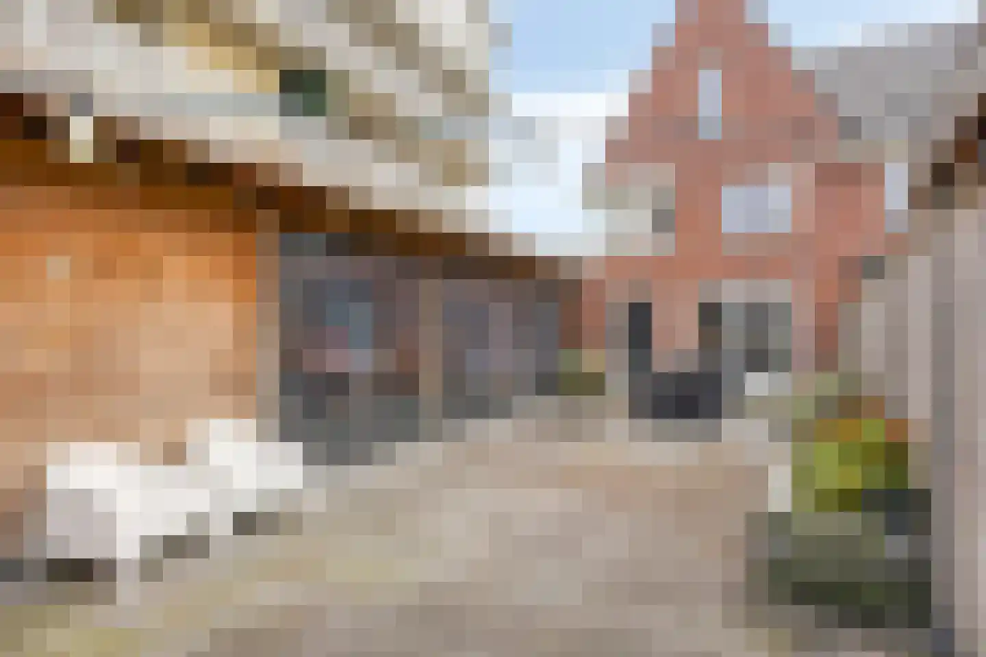 Strandgaper 84 Bergen op Zoom thumbnail 29