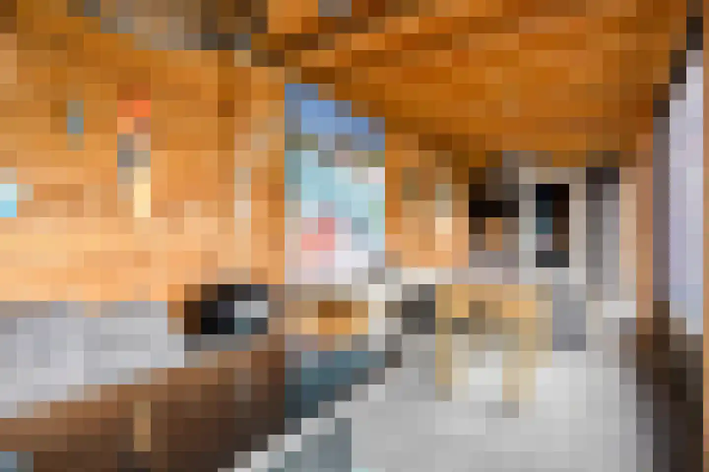 Strandgaper 84 Bergen op Zoom thumbnail 31