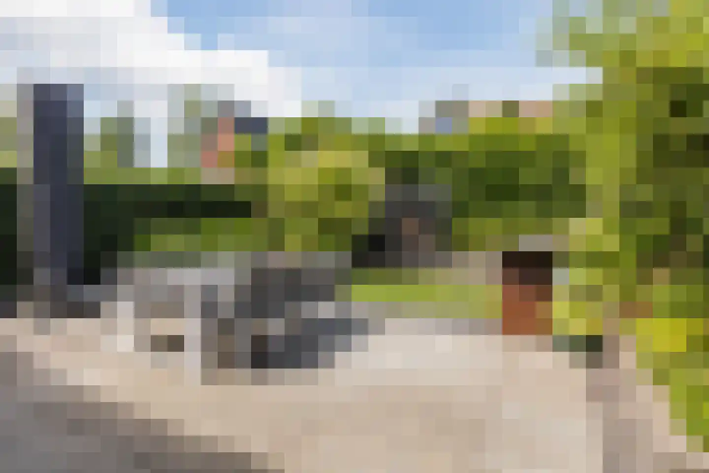 Strandkrab 32 Bergen op Zoom thumbnail 28