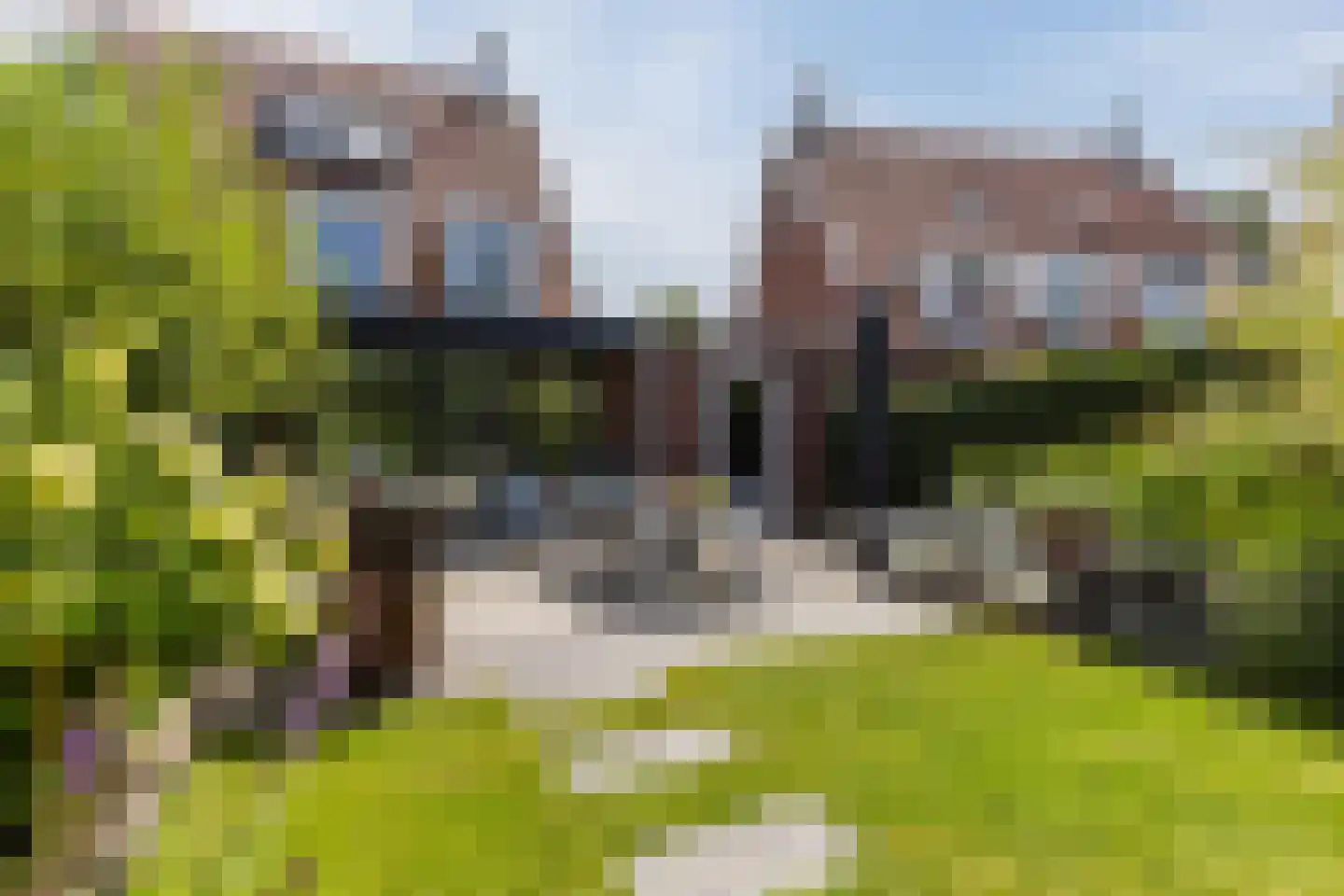 Strandkrab 32 Bergen op Zoom thumbnail 34