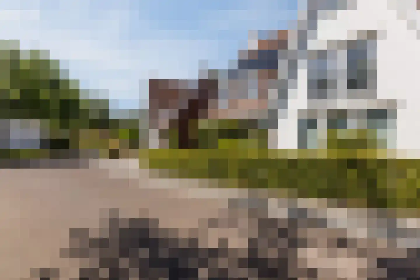 Strandkrab 32 Bergen op Zoom thumbnail 36