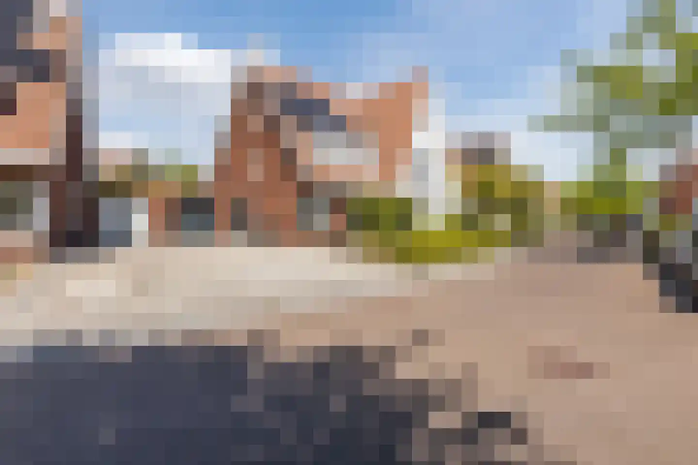 Strandkrab 32 Bergen op Zoom thumbnail 37