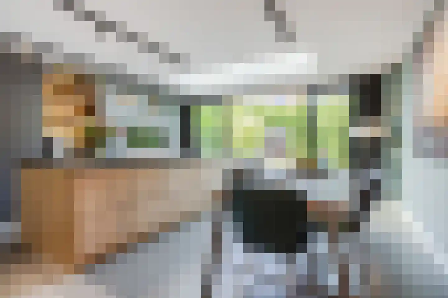 Strandkrab 32 Bergen op Zoom thumbnail 4
