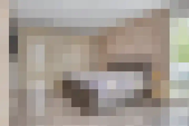 Strandkrab 42 Bergen op Zoom thumbnail 15