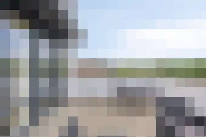 Strandkrab 42 Bergen op Zoom thumbnail 29
