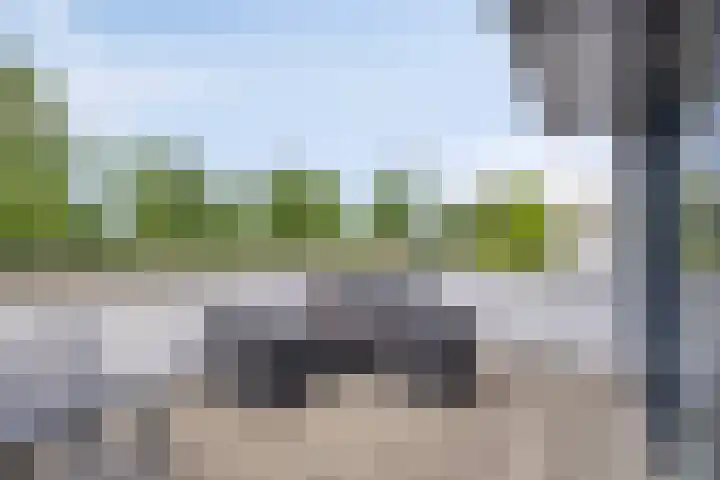 Strandkrab 42 Bergen op Zoom thumbnail 30