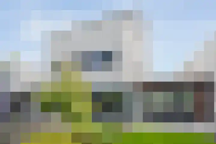 Strandkrab 42 Bergen op Zoom thumbnail 33