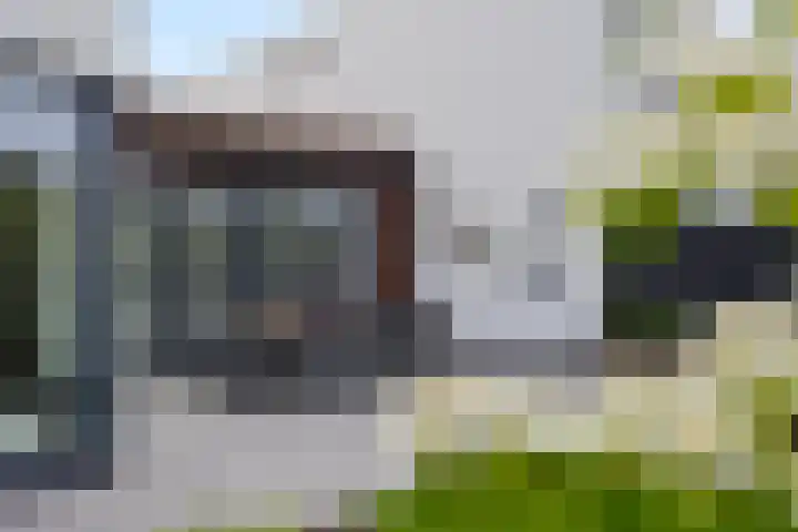 Strandkrab 42 Bergen op Zoom thumbnail 34